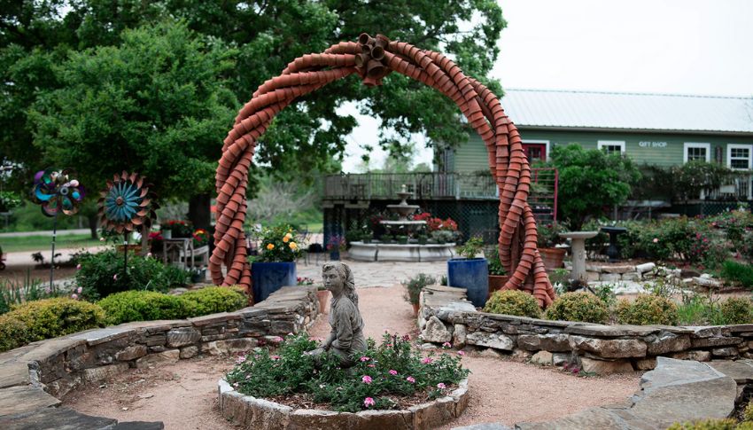 Antique Rose Emporium garden