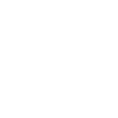 Parking Icon